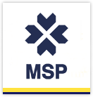 MSP CONSULTING